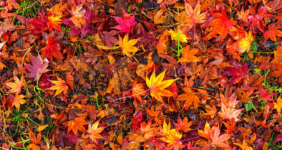 The New Year starts here. Post image